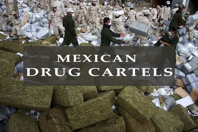 Mexican drug cartels