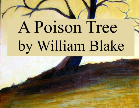 A poison tree by William Blake