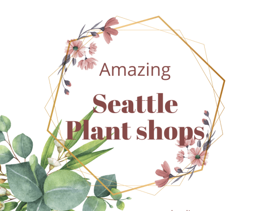 Best plant shops in Seattle