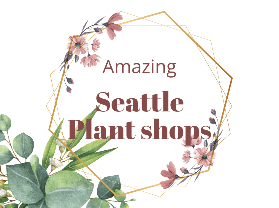 Best plant shops in Seattle