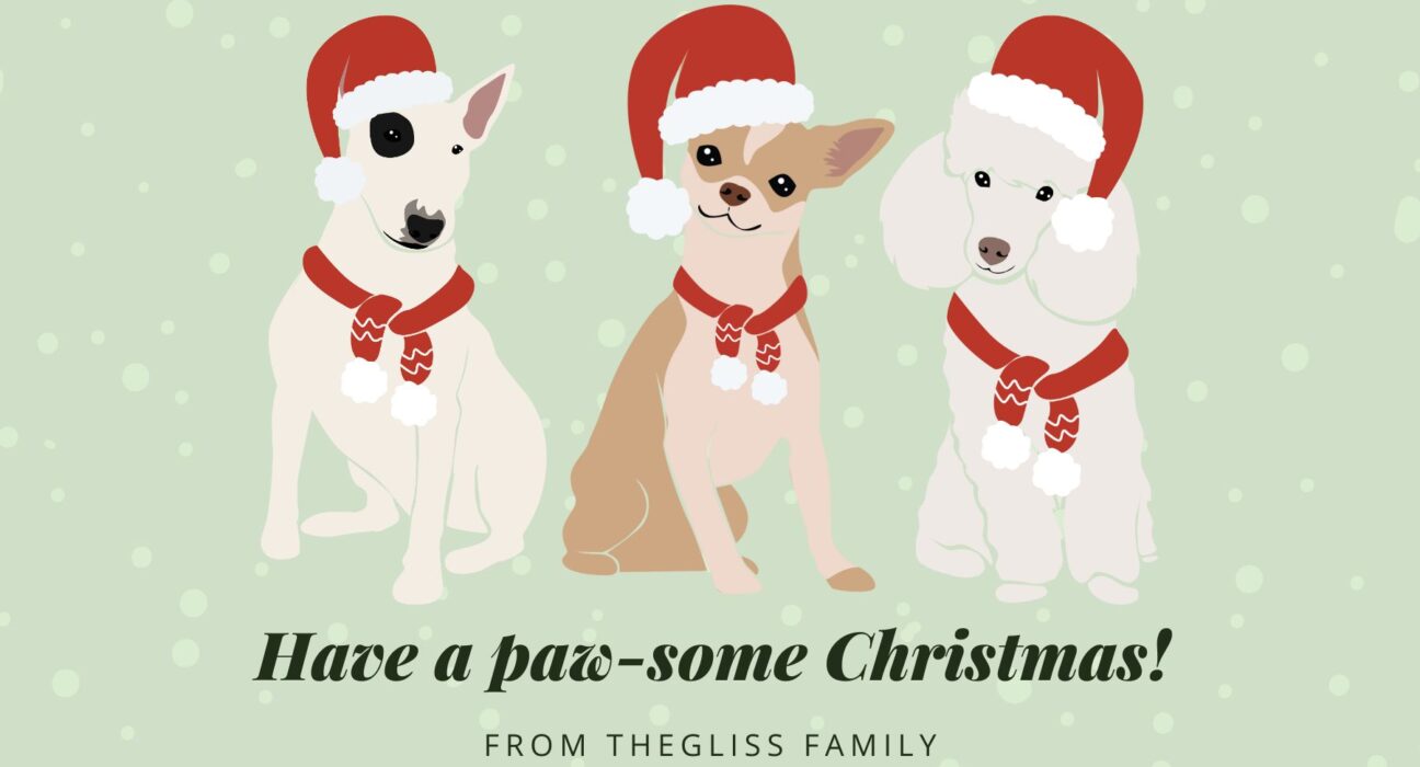 Humorous Christmas Cards