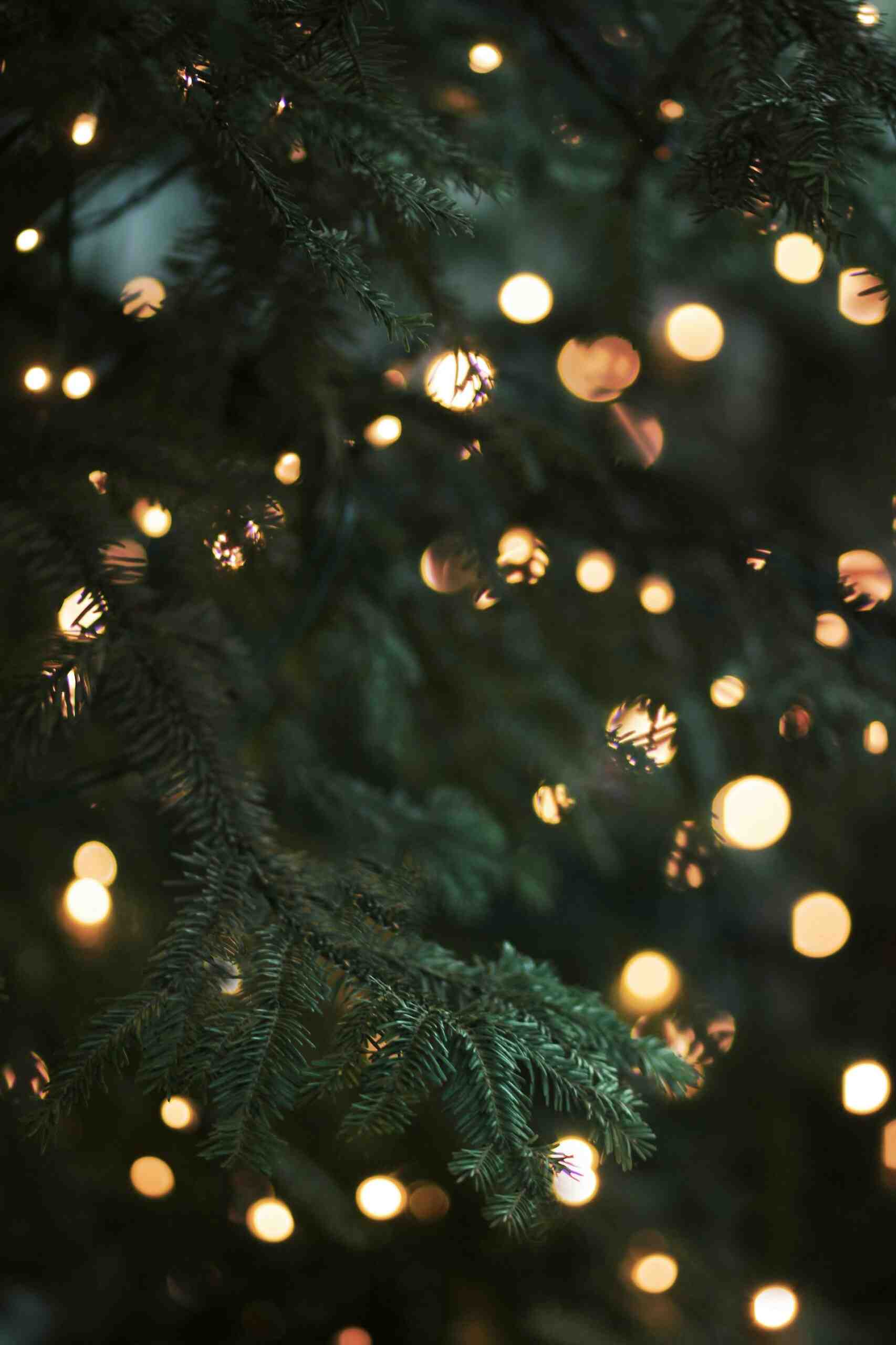 mindfulness with Christmas lights