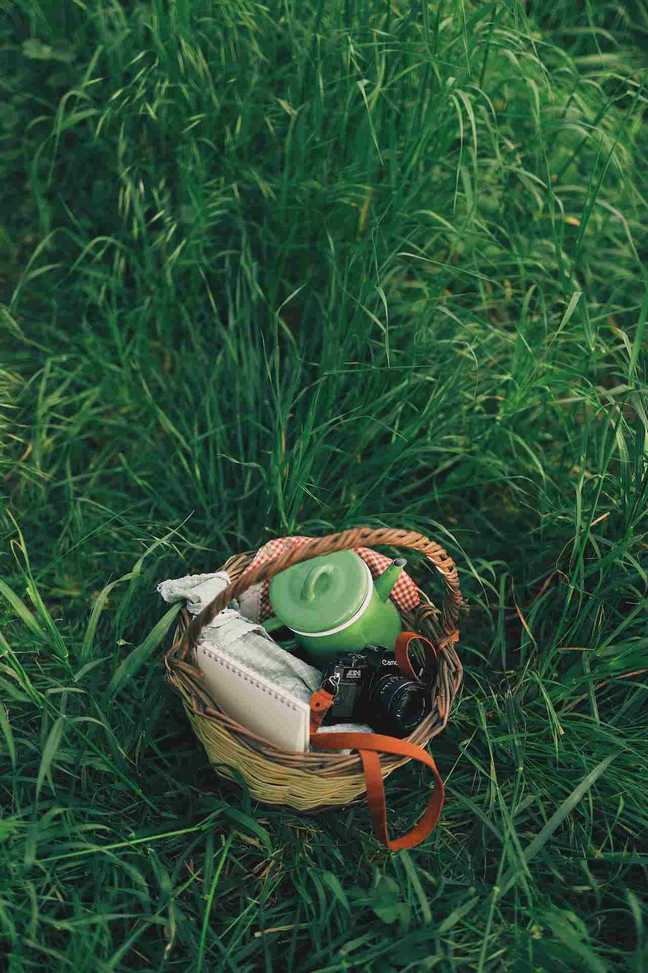 Baskets with Gadgets, A basket with a camera, camera bag, and camera on the grass.