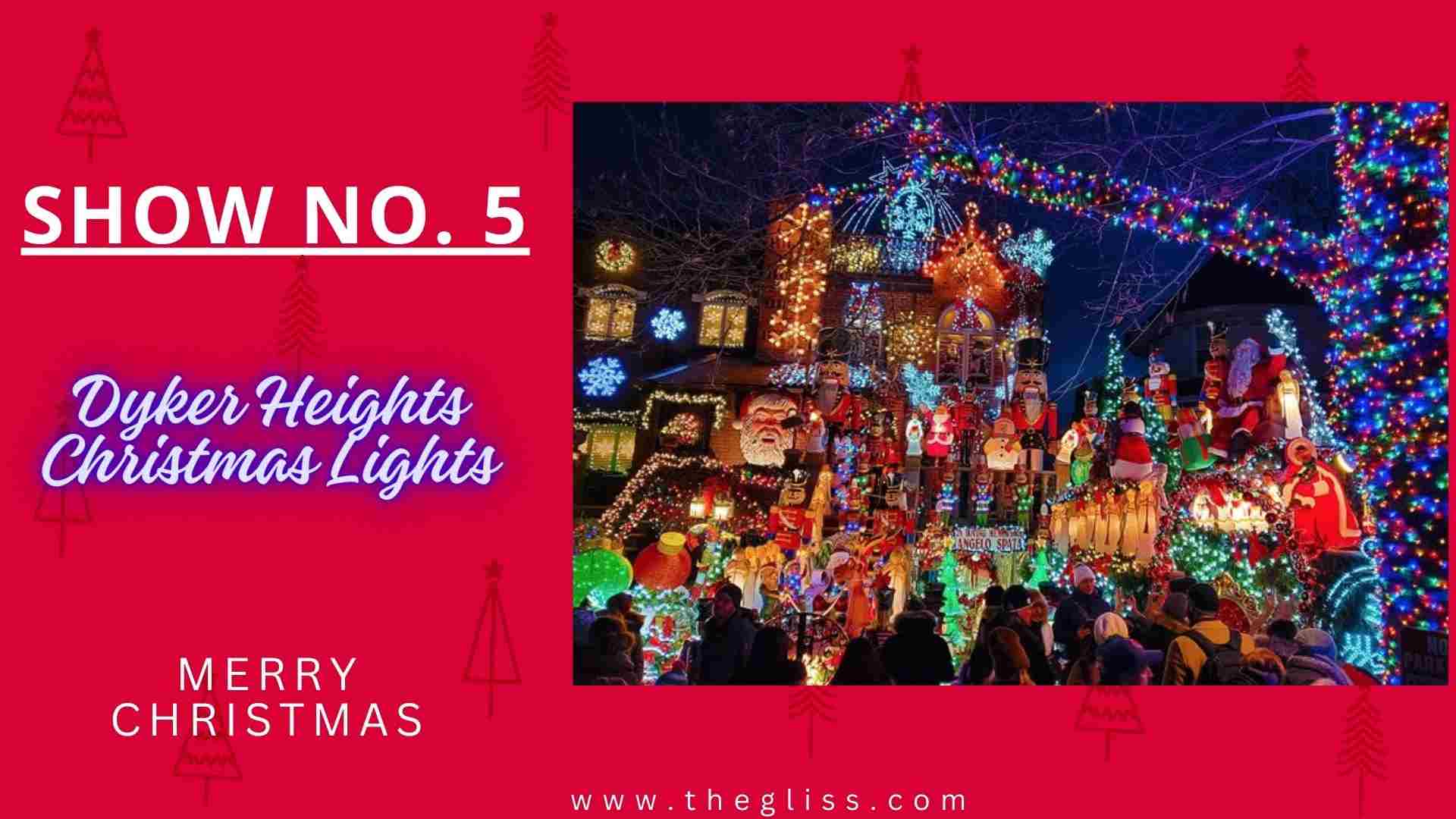 Christmas show in new York city Dyker Heights Christmas Lights